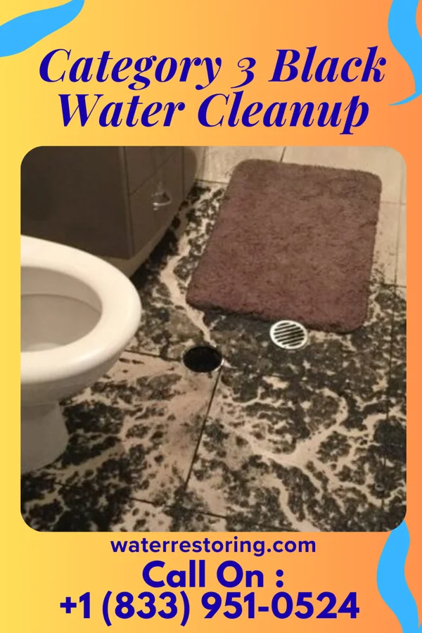 Category 3 Black Water Cleanup in West Salem, OH